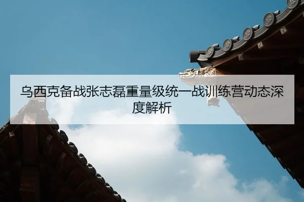 乌西克备战张志磊重量级统一战训练营动态深度解析